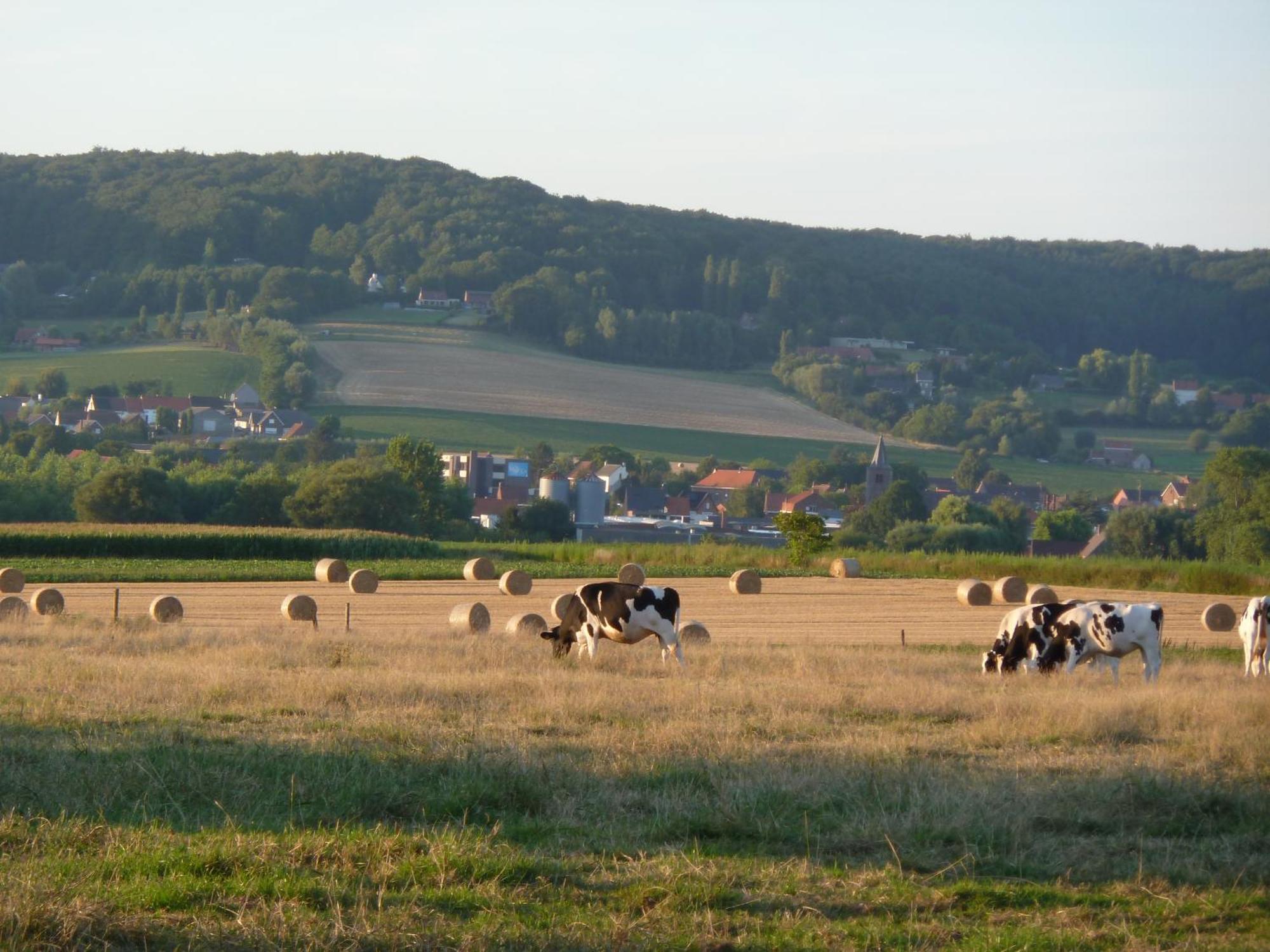 Entre Monts Et Collines B&B Et Spa En Option Екстериор снимка